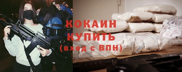 mdpv Заводоуковск
