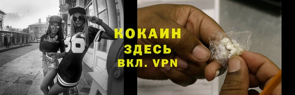 mdpv Заводоуковск