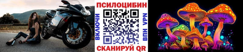 Псилоцибиновые грибы прущие грибы  Домодедово 